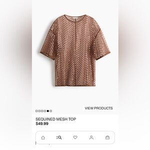 Sequin Mesh Top - Brown